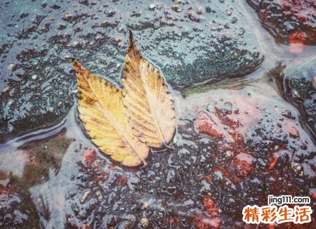 梦见暴风雨袭击了村庄,梦到躲避暴风雨
