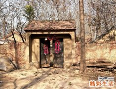 梦见回老家思考人生