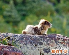 非主流涨粉的抖音长网名