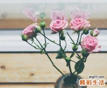 有个性的抖音长网名