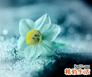 超拽个性qq网名