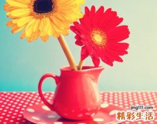 最好听的微信超长网名