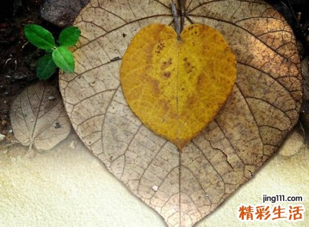 什么人都能火的快手网名