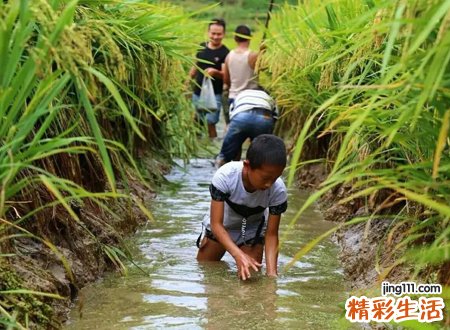 梦见捉鱼好多鱼逃跑，女人梦见自己捉鱼