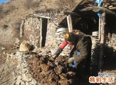 梦见牛粪满地堆积如山，梦到牛屎满地感觉很脏