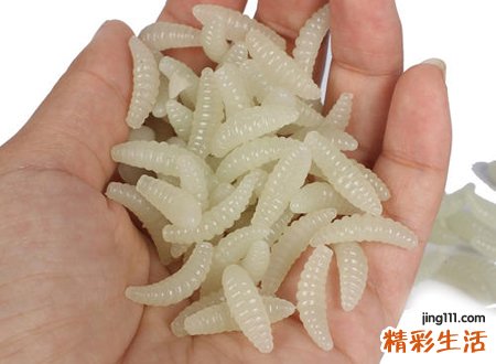 梦见蛆虫钻进肉里好恶心，女人梦到蛆虫什么预兆