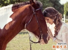 梦见马在草原上奔跑向自己闯来