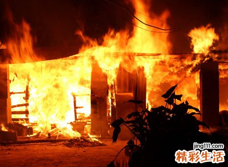 梦见森林火灾自己成功逃生