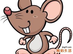 梦见死老鼠被自己扔了，女人梦见死掉的老鼠