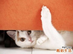 梦见自己四处躲藏怕被发现，女人梦见自己逃跑躲藏