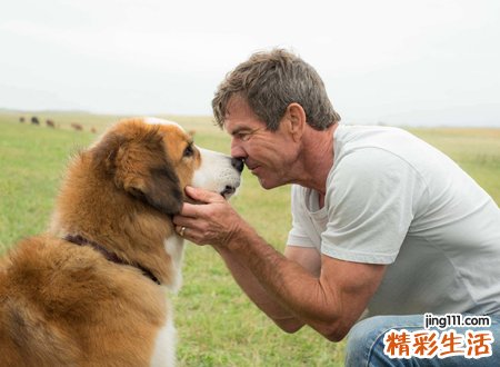 梦见死去的父亲还活着和自己说话