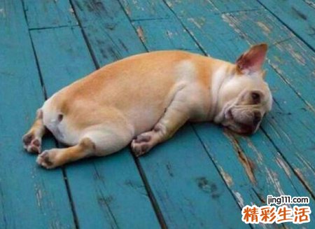 梦见自己被狗咬腿出血了