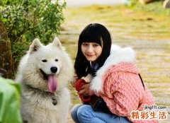 梦见白色的狗很乖很喜欢我