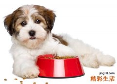 梦见自己把人家疯狗打死了