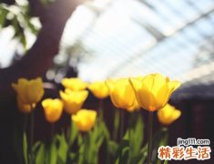 经典抖音长网名大全
