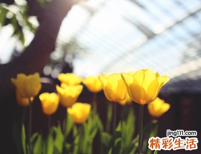 经典抖音长网名大全