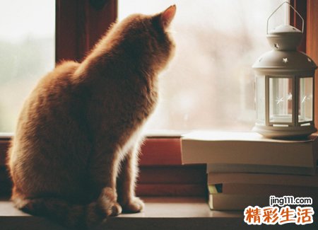 什么微信网名好听又有内涵