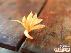 什么微信网名好听又有内涵