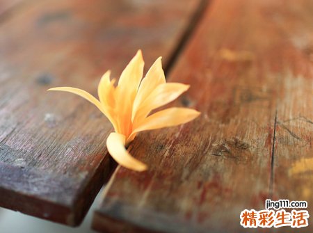 什么微信网名好听又有内涵