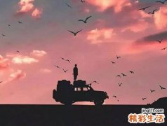 梦见飞上天后又落下