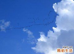 梦见会飞很惬意的在天空翱翔，女人梦见自己飞起来了