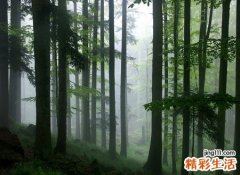 梦见满地是别人的血让人看了头晕恶心
