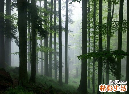 梦见满地是别人的血让人看了头晕恶心