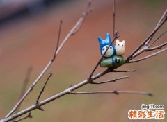 高傲佯装清高的微信个性昵称