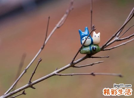 高傲佯装清高的微信个性昵称