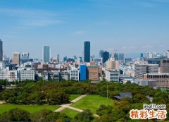 梦见耳朵流血被紧急送往医院，女人梦见自己耳朵出血