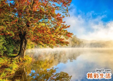 梦见耳朵出血惨不忍睹，做梦梦到自己耳朵流血不止