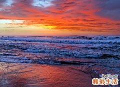 梦见自己流血流出了大量的鲜血