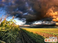 梦见目睹别人杀人见血场面好血腥