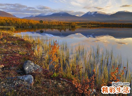 梦见自己咳血痰抓狂晕了过去