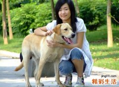 女人梦见给狗狗喂食吃东西