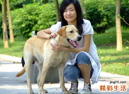 女人梦见给狗狗喂食吃东西