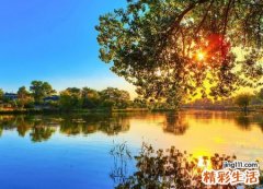 孕妇梦见血感觉有些眩晕