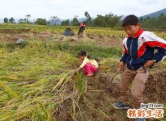 梦见小男孩在公园愉快玩耍，女人梦见陌生的小男孩