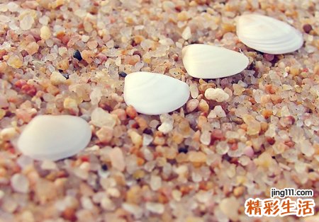 关于玩心的抖音涨粉网名