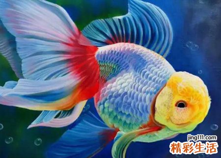 梦见和别人一起去菜市场买鱼炖着吃