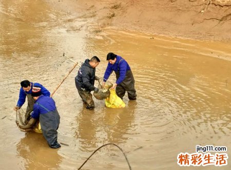 梦见别人捞鱼捞了很多的大鱼