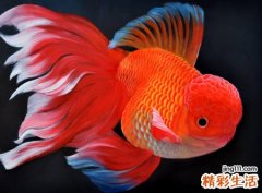 梦见很多死鱼在地上发出恶臭