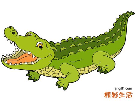 梦见大鳄鱼横行乡里，做梦梦到鳄鱼会发财吗