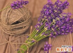 简短文艺清新的干净快手昵称大全