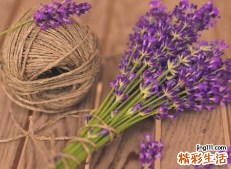 简短文艺清新的干净快手昵称大全