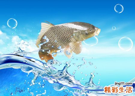 梦见许多鱼在池塘里游来游去，女人梦见水里许多鱼