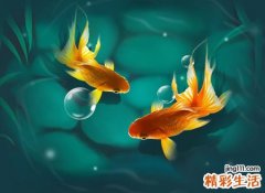 梦见很多成群的鱼在水里游泳