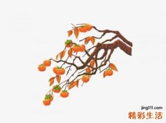 梦见柿子树上结满了金灿灿的柿子