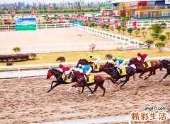 梦见与很多人在大亚湾赛马