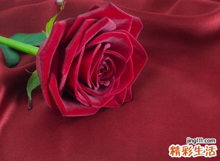 容易被关注扣人心弦的个性网名
